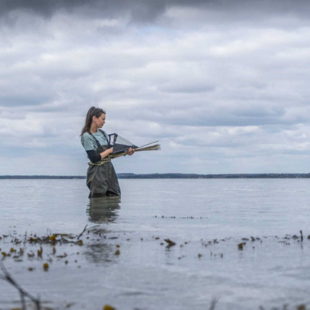 Anouska is standing in the sea carrying out seagrass monitoring. She is wearing waders and is holding a clipboard.